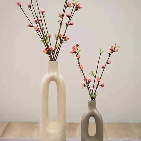 Corfiatis Lux Apartment! * Alepou